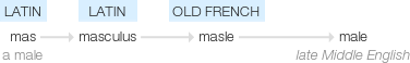 Ety img male.png