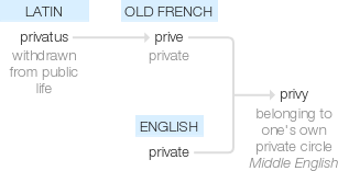 Ety img privy.png