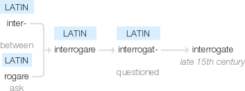 Ety img interrogate.png