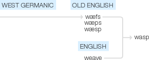 Ety img wasp.png