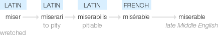 Ety img miserable.png