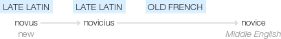 Ety img novice.png