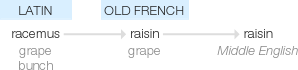 Ety img raisins.png