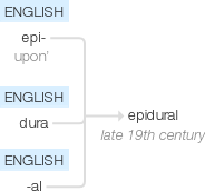 Ety img epidural.png