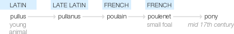 Ety img pony.png