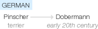 Ety img doberman.png