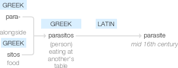 Ety img parasite.png