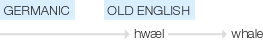 Ety img whale.png