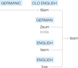 Ety img team.png