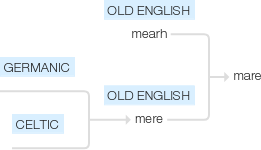 Ety img mare.png