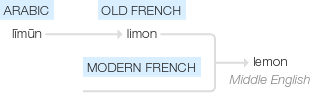 Ety img lemon.png