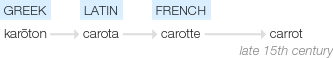 Ety img carrot.png