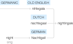Ety img nightingale.png