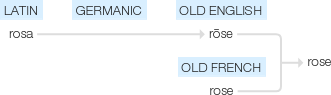 Ety img roses.png