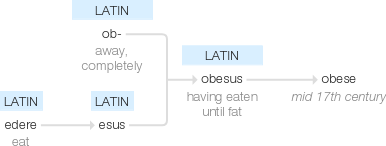 Ety img obesity.png