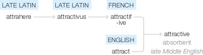Ety img attractive.png
