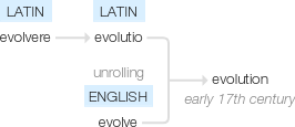 Ety img evolution.png