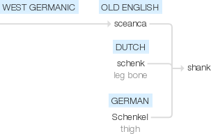 Ety img shank.png