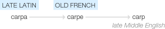 Ety img carp.png