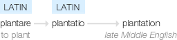Ety img plantation.png