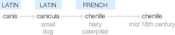 Ety img chenille.png
