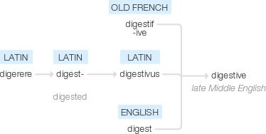 Ety img digestive.png