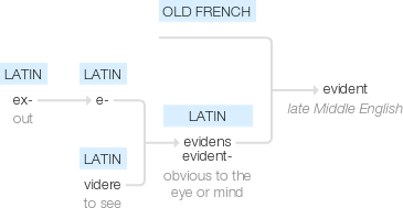 Ety img evident.png