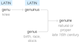Ety img genuine.png