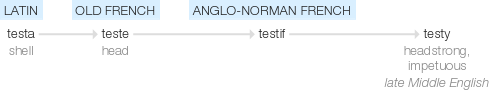 Ety img testy.png