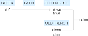 Ety img aloe.png