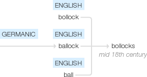 Ety img bollocks.png