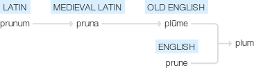 Ety img plum.png