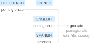 Ety img grenade.png