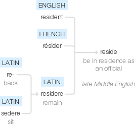 Ety img reside.png