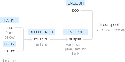 Ety img cesspool.png