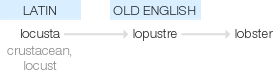 Ety img lobster.png