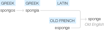 Ety img sponge.png