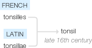 Ety img tonsils.png