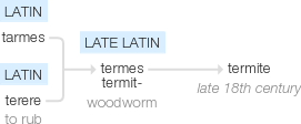 Ety img termite.png