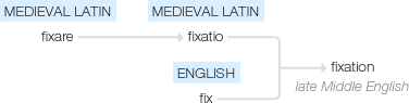 Ety img fixation.png