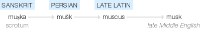 Ety img musk.png