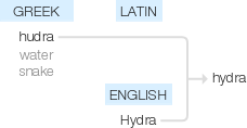 Ety img hydra.png