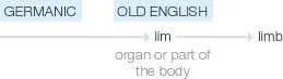 Ety img limb.png