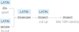 Ety img dissect.png