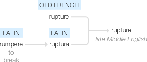 Ety img rupture.png
