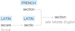 Ety img section.png