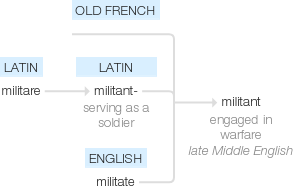 Ety img militant.png