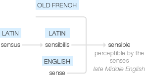 Ety img sensible.png