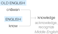 Ety img knowledge.png