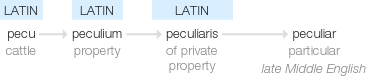 Ety img peculiar.png